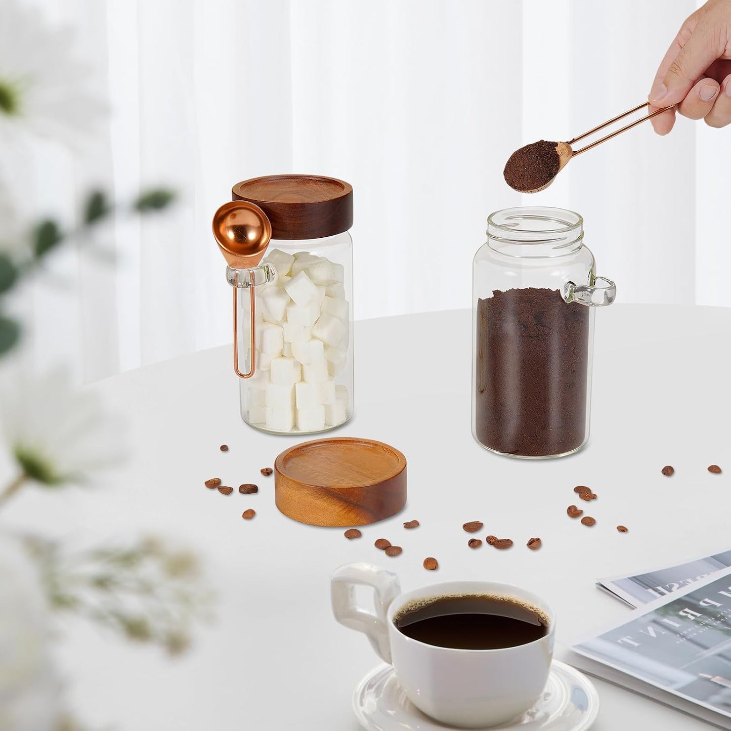 6 pc Glass Spice jars Glass Jars with Screw Lid 5 oz Acacia Wood Glass Herb Sugar Coffee Bean Ground Container Food Storage Canister for Candy Pantry Tea Seasoning Meal Prep Snack (6*150ml(5oz))