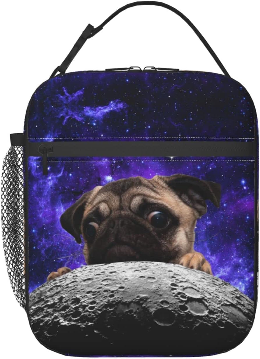 Purple Axolotl Lunch Box Lunch Box Reusable Insulated Totes Lunch Bag Thermal Cooler For Boy Girls School Men Women Beach Picnic Travel
