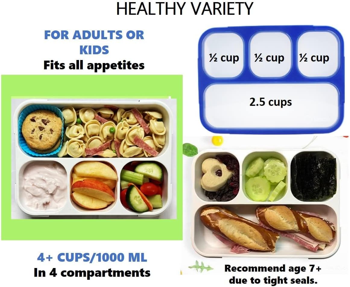 Bento Lunch Box for Kids or Adults, Snack Containers for Boys, Girls, School Daycare Work, 3 Divided Compartments Meal Planning Portion Control, BPA-Free Boxes, Utensils | Blue Purple 2 pack