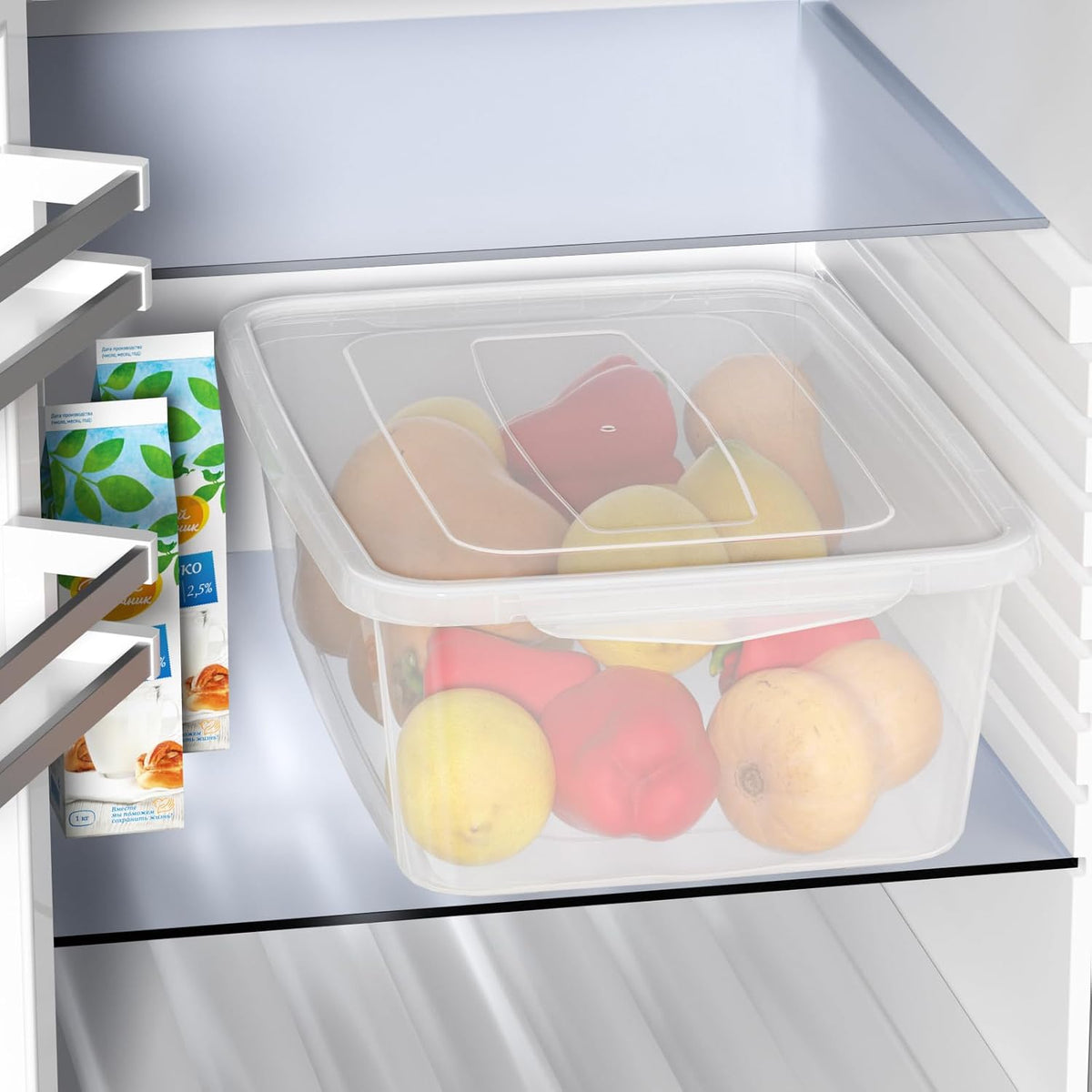 16 Quart Clear Dough Proofing Box, Latching Box with Lid, 2-Pack