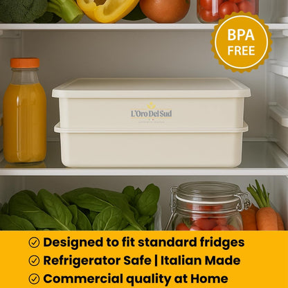 L'Oro Del Sud Home Refrigerator Size, Dough Proofing Tray (+ 1 Lid)