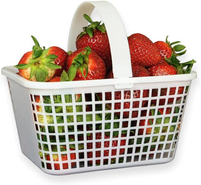 12 Pack – Small Plastic Basket with Handle for Produce Display, Harvesting Fruits and Vegetables, Party Décor, or Organization