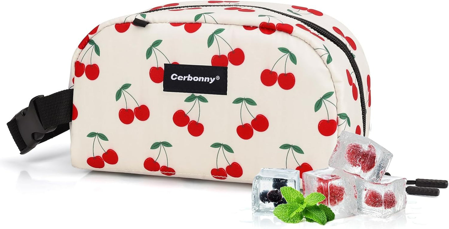 Cerbonny Freezable Cooler Bag for Work/School Travel - Mini Insulated Bag Fit For Yogurt