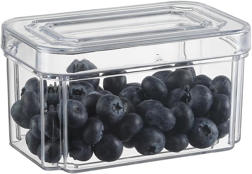 Plastic Fridge Organizer,Clear Storage Containers for Fridge Stackable Organizer Bins Square Food Storage Box Keep Fresh for Vegetable,Food,Fruits (10 PACK)