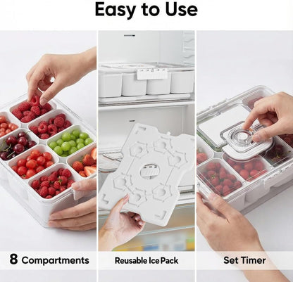 Snackle Box Container with Reusable Ice Pack, 8-Compartment Divided Serving Tray with Lid & Handle, Cooling Charcuterie Snack Box Organizer for Travel, Outdoor Parties, Beach & Picnic