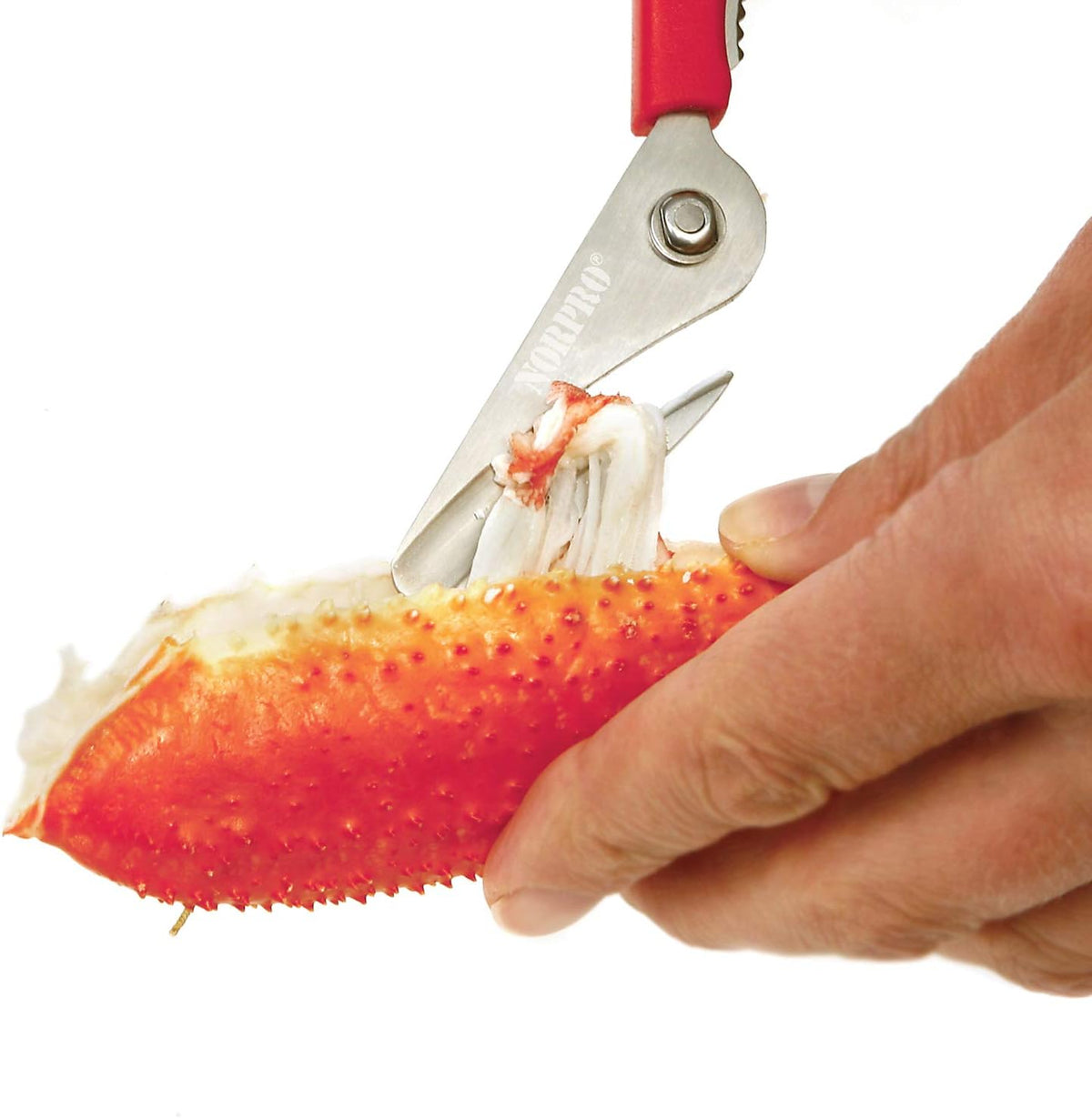 Norpro 6516 Ultimate Seafood Shears Red 7.5" x 3" x .5"
