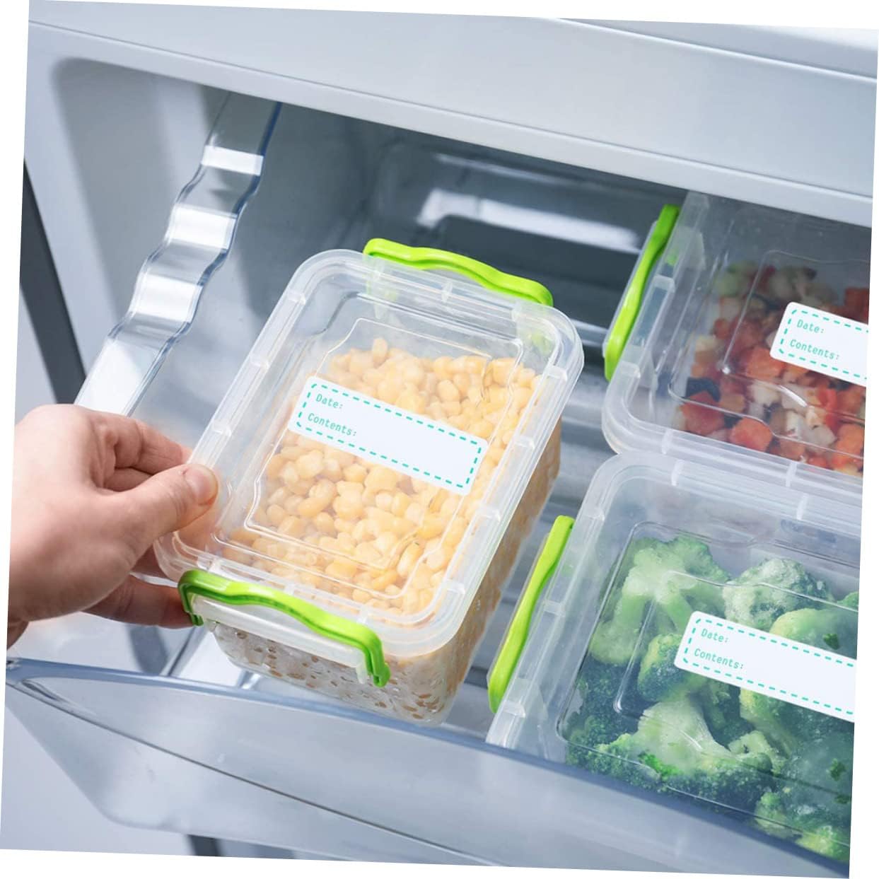 NUOBESTY Kitchen Food Date Stickers Eco-Friendly Record Date Labels for Food Storage Easy Peel Adhesive for Smooth Surfaces for Home Organization and Meal Prep