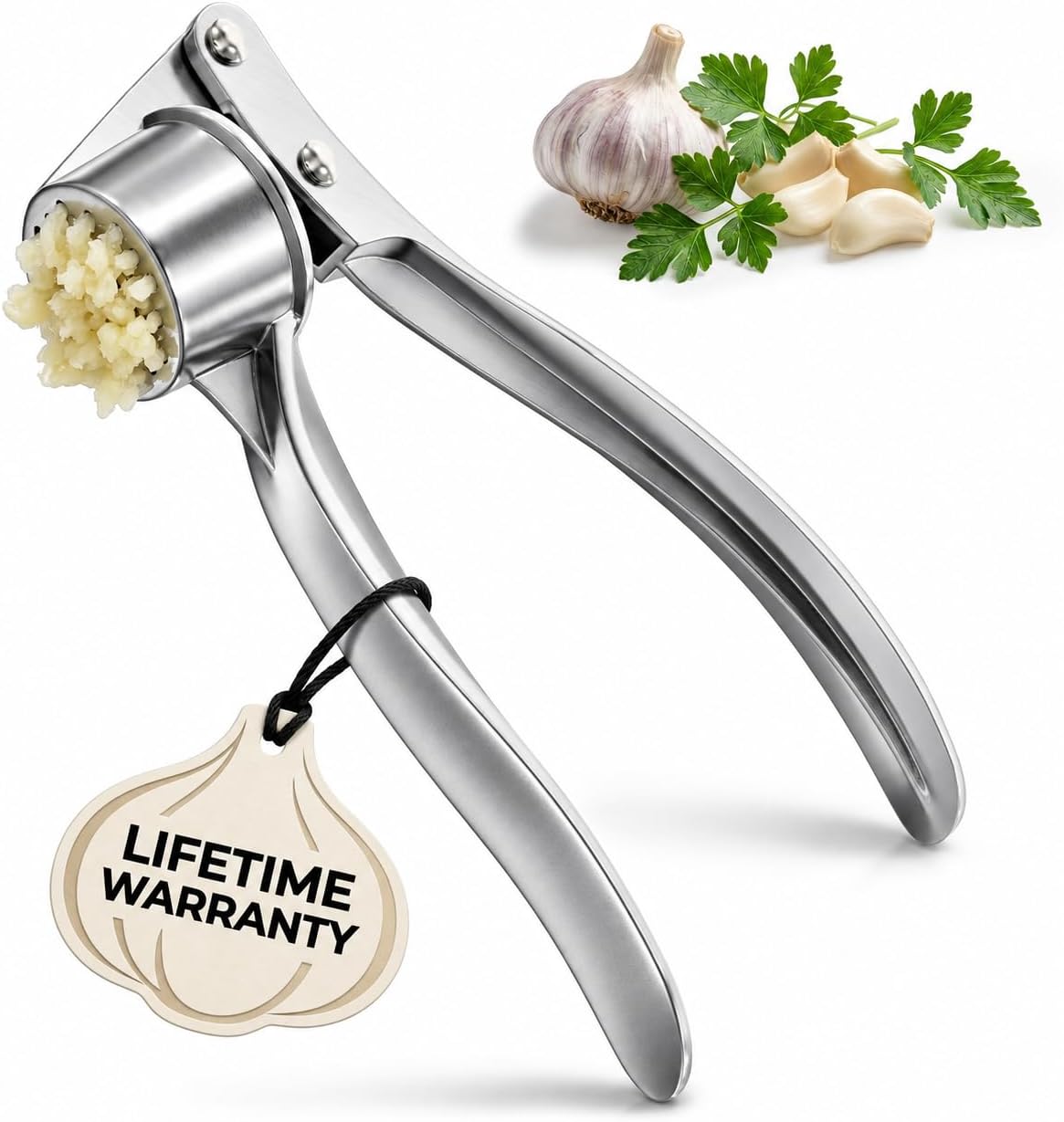 Metal Garlic Press with Comfortable Ergonomic Handle, Silver