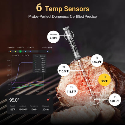 Typhur Sync Gold Gen2 Sub-1G Wireless Meat Thermometer with 6 Sensors & LCD