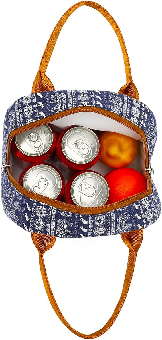 FlowFly Insulated Lunch Cooler Bag - Tote Bag Organizer for Women/Men, Black - Colors B