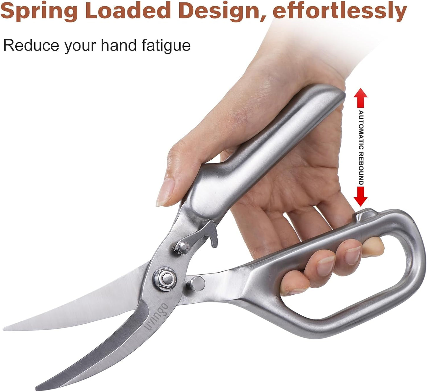 LIVINGO Kitchen Forged Shears Heavy Duty Come Apart Ultra Sharp Multi-function Stainless Steel Scissors Bottle Opener, Nut Cracker 8.5 inch