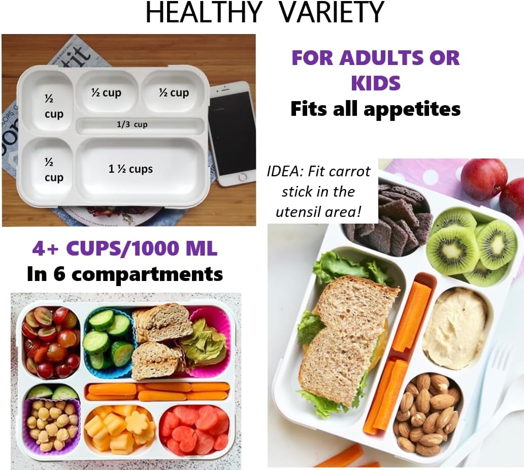 kinsho Bento Lunch-Box Set for Kids includes Snack Container | 6 and 3 Compartment Boxes Leakproof School Bentos, Meal Portion Control Containers, Boys Girls Adults, Navy Blue Large + MINI 2 Pack Set