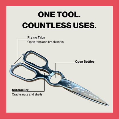 Heavy Duty Kitchen Scissors for Food — All Purpose Cooking Scissors, All Stainless Steel, No Plastic, Come-Apart Blades for Easy Cleaning, Dishwasher Safe, 5-in-1 Multi-Tool