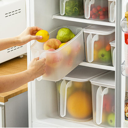 MineSign 2 Pack Plastic Divided Veggie Storage Containers with Lids and Handles for Fridge Storage Organizer Boxes for Refrigerator Produce Beans Fruits Organzation