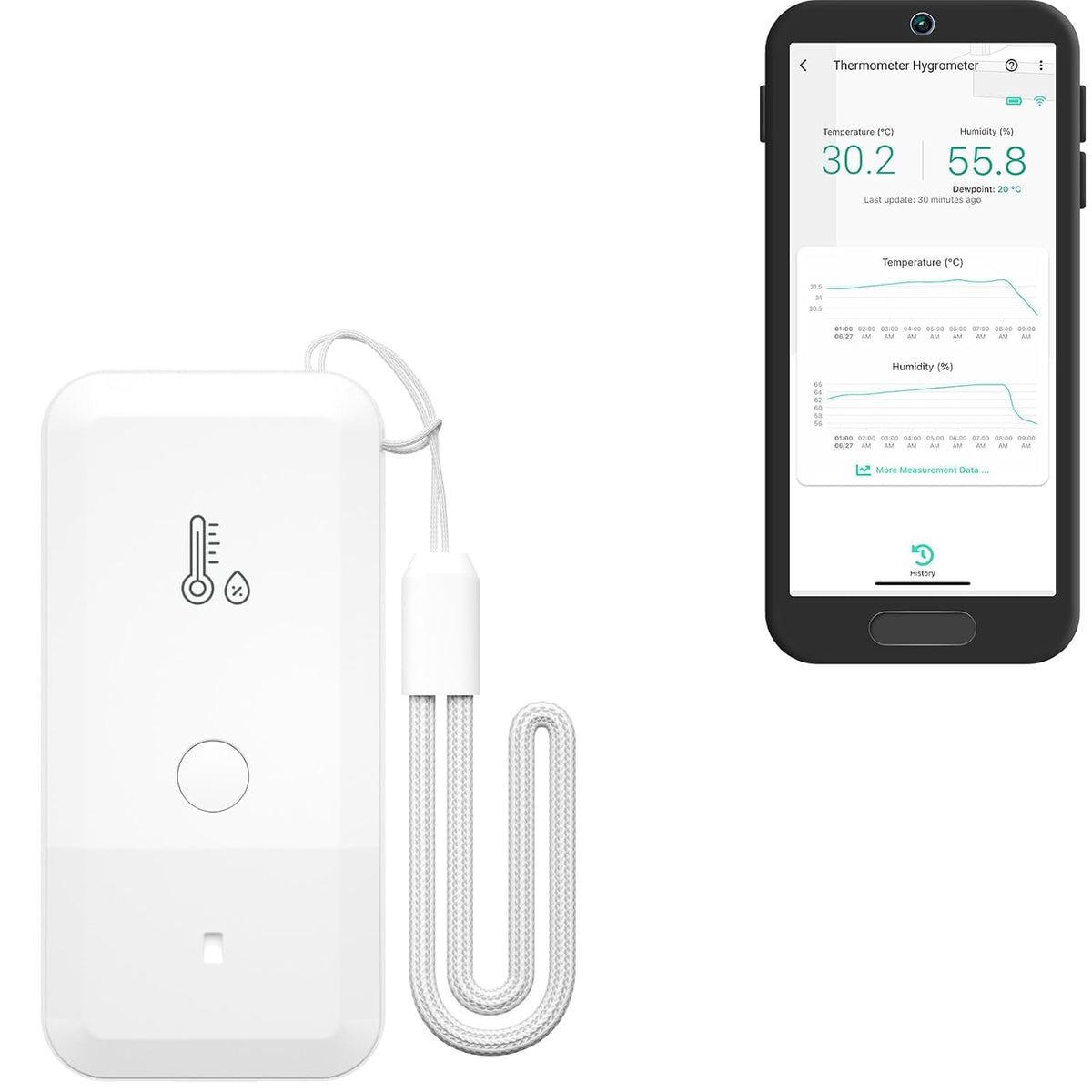 YoLink Freezer Thermometer Hygrometer Kit: + Hub