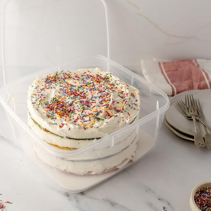 Decor Tellfresh Cake Lifter, 6L, Clear