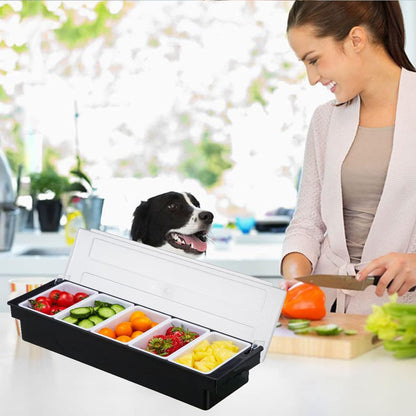 Ice Cooled Condiment Serving Container-6 Compartment Chilled Garnish Tray Bar Caddy with Hinged Lid (6 Compartments)