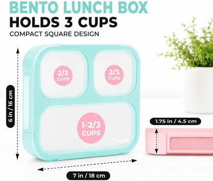 kinsho Medium Bento Boxes for Kids, Lunch Box for Boys Girls Toddler Adults, Leak-Proof 3 Compartment Containers for Meal or Snack at School Daycare Work Travel, BPA Free 2 Pack (Pastel Blue + Pink)