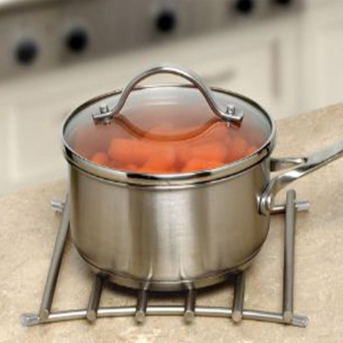 FitWell Heat-Resistant Steel Dining Protector Modern Metal Trivet for Kitchen Table, Holds Hot Pots & Cast Iron Cookware, Trivet for Serving and Organization of Hot Dishes in Kitchen (Satin Nickel)