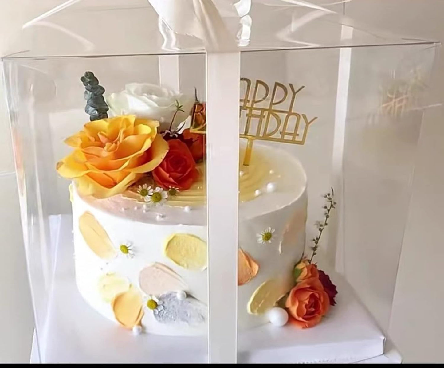 XININSUN 2Pcs Large Cake PET Clear Box, 10" X 10" X 9" with ribbon and pre-folded lid, for 8" cake packing carry, baking cookie display, Carry Tall Layer Gift, Festive Gift Box -White