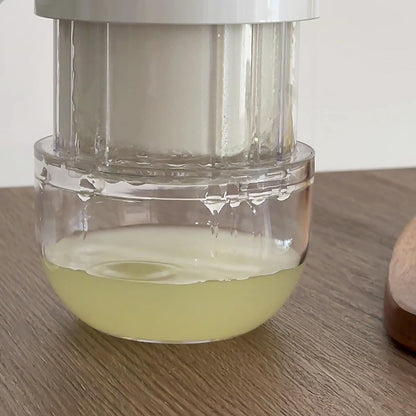 Carrotez Tofu Press