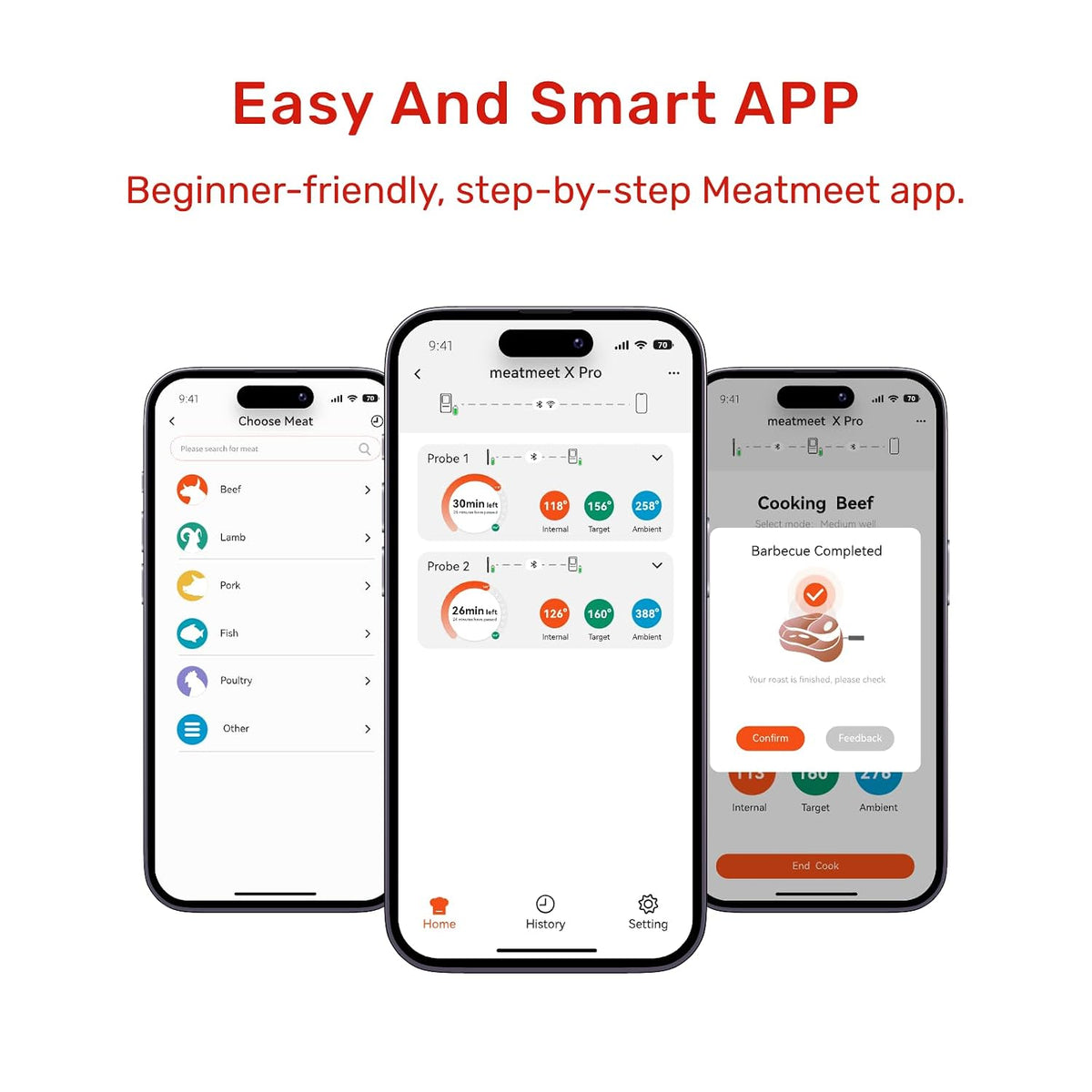Wireless Meat Thermometer, WiFi & Bluetooth, Smart Base, 2 Probes