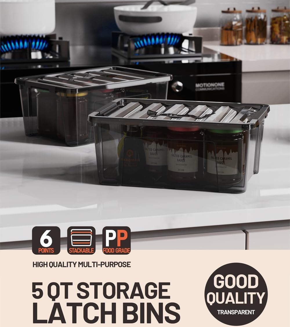 WYT Clear Storage Latch Bins, 6-Pack Storage Organizer Box with Handle and Lids, 5-Litre