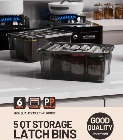 WYT Clear Storage Latch Bins, 6-Pack Storage Organizer Box with Handle and Lids, 5-Litre