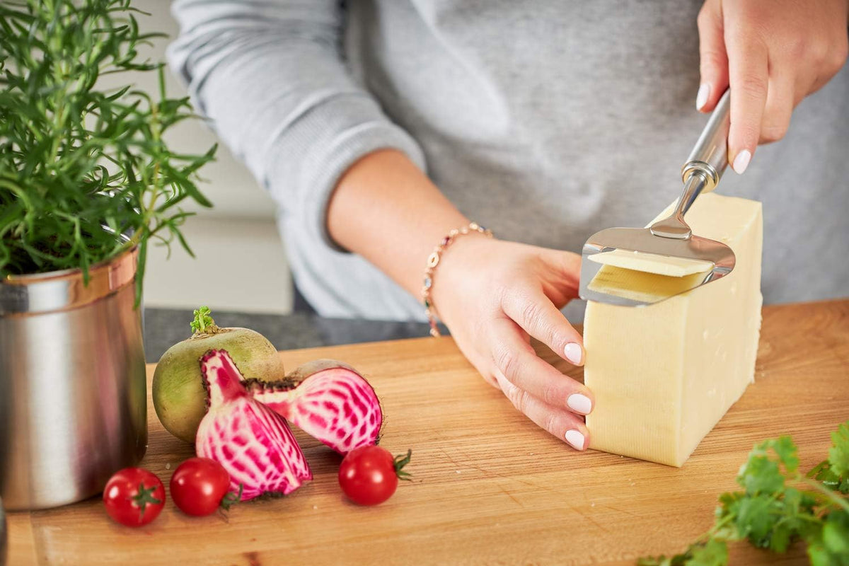 Rösle Stainless Steel Sturdy Cheese Plane, 9.5-inch