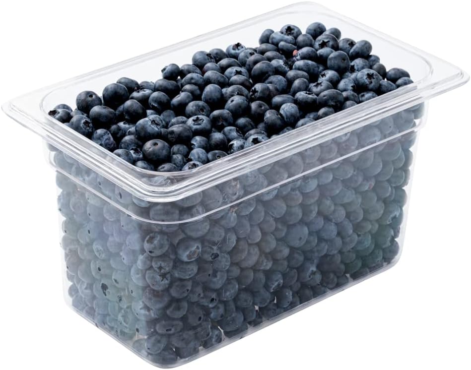 Restaurantware-2.5 Inch Deep Food Pans, 1 1/6 Size Commercial Food Storage Container - Freezable, Break-Resistant, Clear Plastic Cold Pans, Dishwashable, For Kitchens, Restaurants, Or Cafeterias