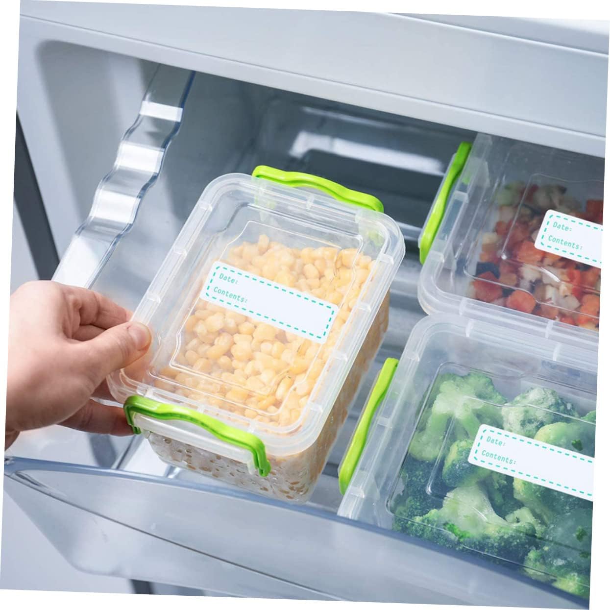 EXCEART 2rolls Food Storage Date Labels Kitchen Stickers for Keeping Removable Adhesive for Freezer and Refrigerator Use for Food Organization