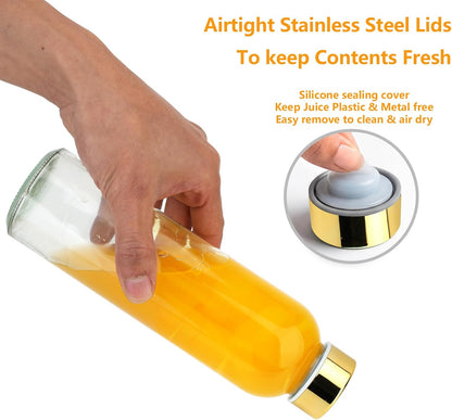Zukro Glass Juice Bottles with Lids for Juicing 18 oz, Reusable Clear Glass Water Bottles with Stainless Steel Airtight Cap for Refrigerator, 100% Leak Proof Drinking Jar, BPA Free, Set of 6