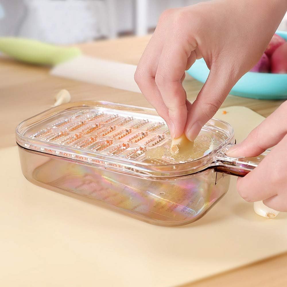 JapanBargain, Japanese Plastic Zester Grater – Multi-Purpose Coarse/Fine Condiment Grater with Container for Ginger and Wasabi, Made in Japan