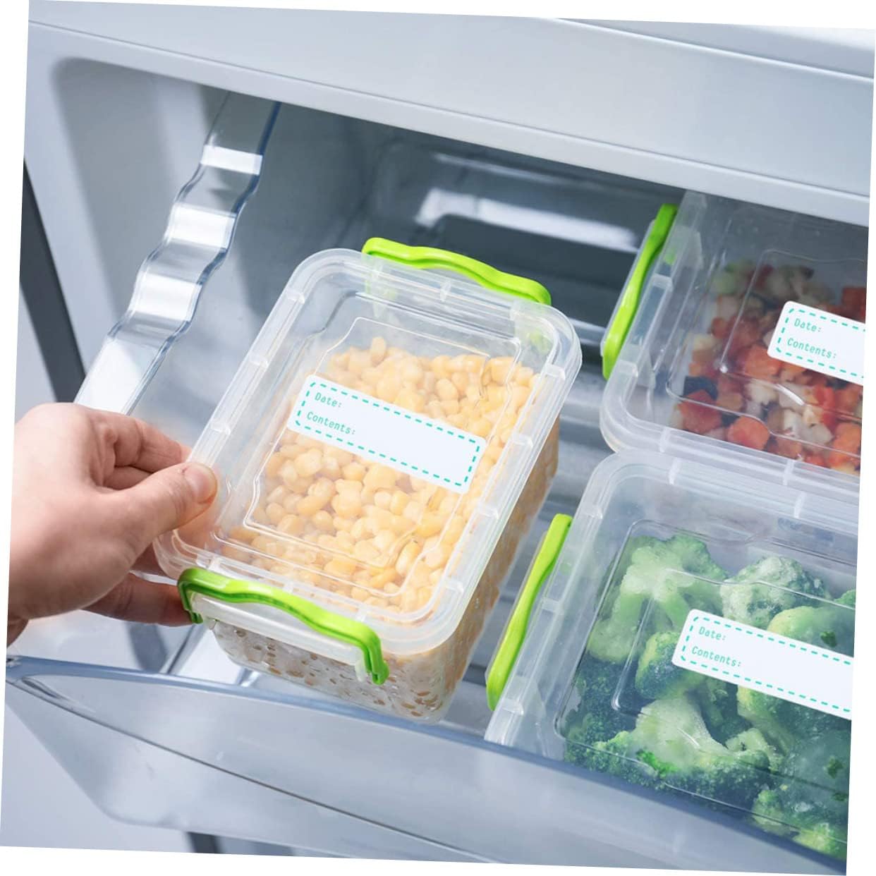 Homoyoyo English Record Date Stickers Kitchen Food Storage Labels DIY Paste for Organizing Eco-Friendly Peel Stick