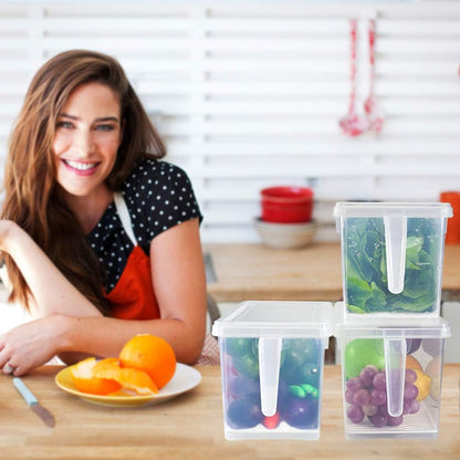 SILIVO Snackle Box Container - 9 Compartment Portable Divided Serving Tray with Lid and Handle,Clear Snack Organizer for Candy, Fruits, Nuts, Snacks - Perfect for Party, Travel and Entertaining