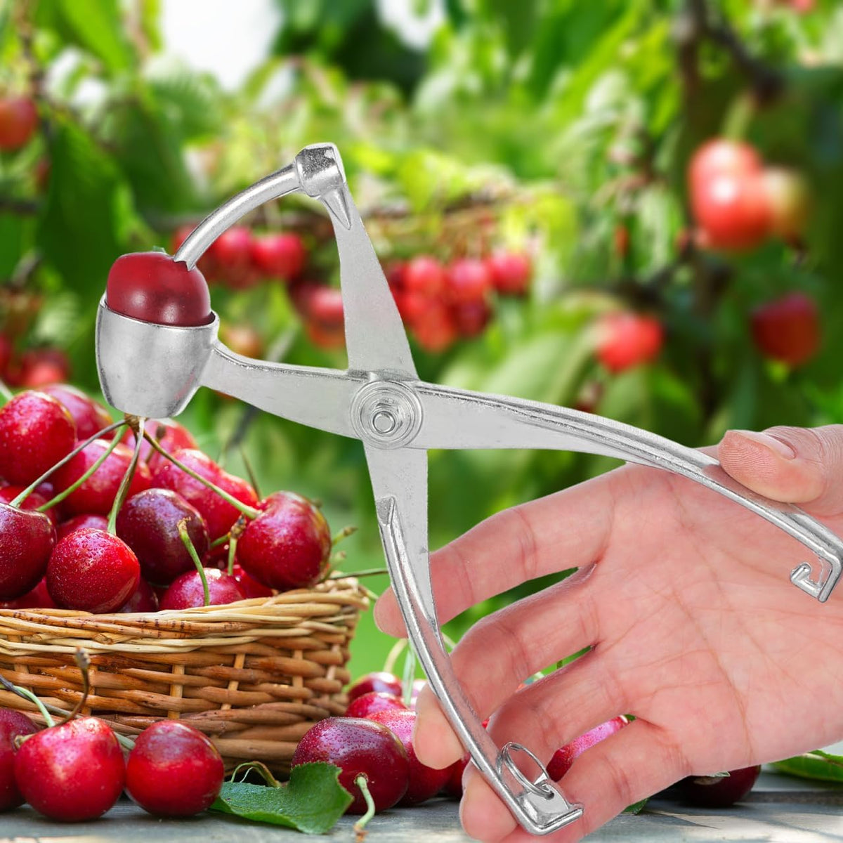 7.27 Inch Cherry Pitter Tool Pit Remover, Olive Pitter Heavy Duty Aluminum Alloy Hand-Held Corer for Cherry Jam Red Date Jujube - Kitchen Baking Gadget