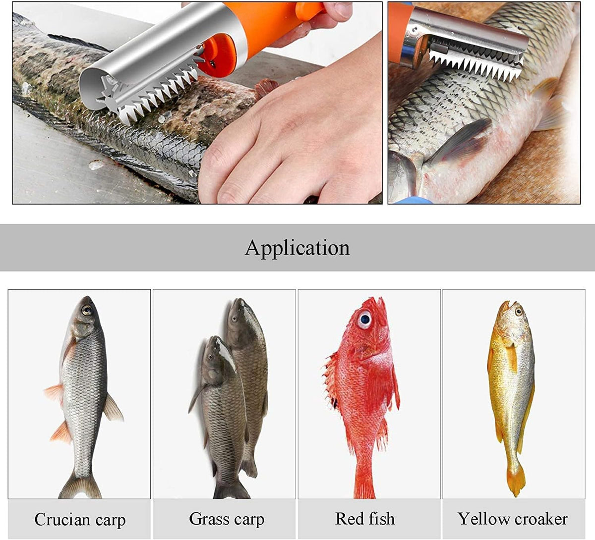 Electric Fish Scaler Remover, Waterproof with Stainless Steel Blades
