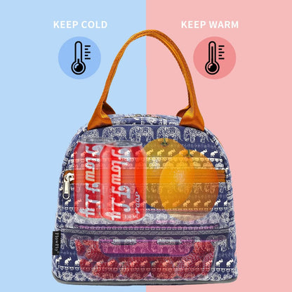 FlowFly Insulated Lunch Cooler Bag - Tote Bag Organizer for Women/Men, Black - Colors B