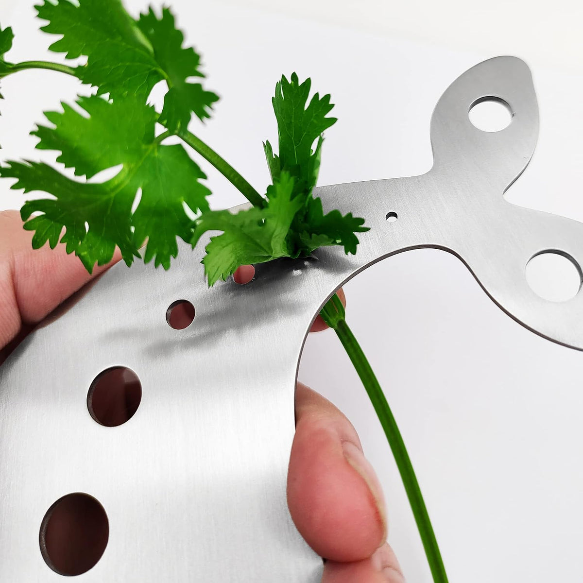 Stainless Steel Herb Stripper, 10-Hole Leaf Stripper Tool, 1 PC