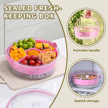 Fruit Ice Divided Serving Tray with Lid and handle,Chilled Veggie Tray,Shrimp Cocktail Serving Dish,Ideal Cold Chilled Serving Platter for Parties,Vegetables,Appetizer,Salads,Picnic,Appetizers,Travel