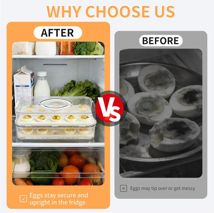Deviled Egg Containers with Lid, 2 Layer Plastic Clear Deviled Egg Carrier with Lid, Storage 40 Eggs, Durable Eggs Holder with Handle for Easy Carry, Portable Tray Platter for Fridge, Travel and Party