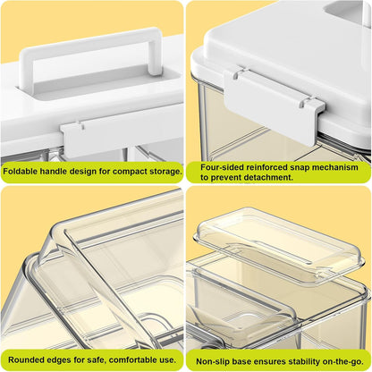 Palksky Snackle Box Container with Ice Pack, Travel Snack Container with Handle, Chilled Portable Divided Serving Tray with Lid, 4 Compartment Snack Box for Fruits,Veggies,Snacks,Keep Food Cold