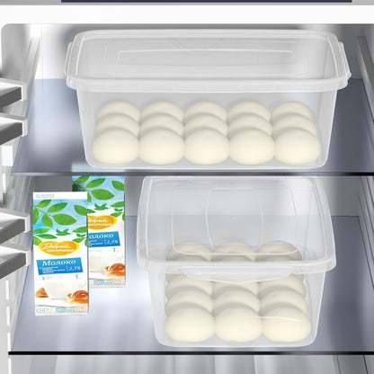 16 Quart Clear Dough Proofing Box, Latching Box with Lid, 2-Pack