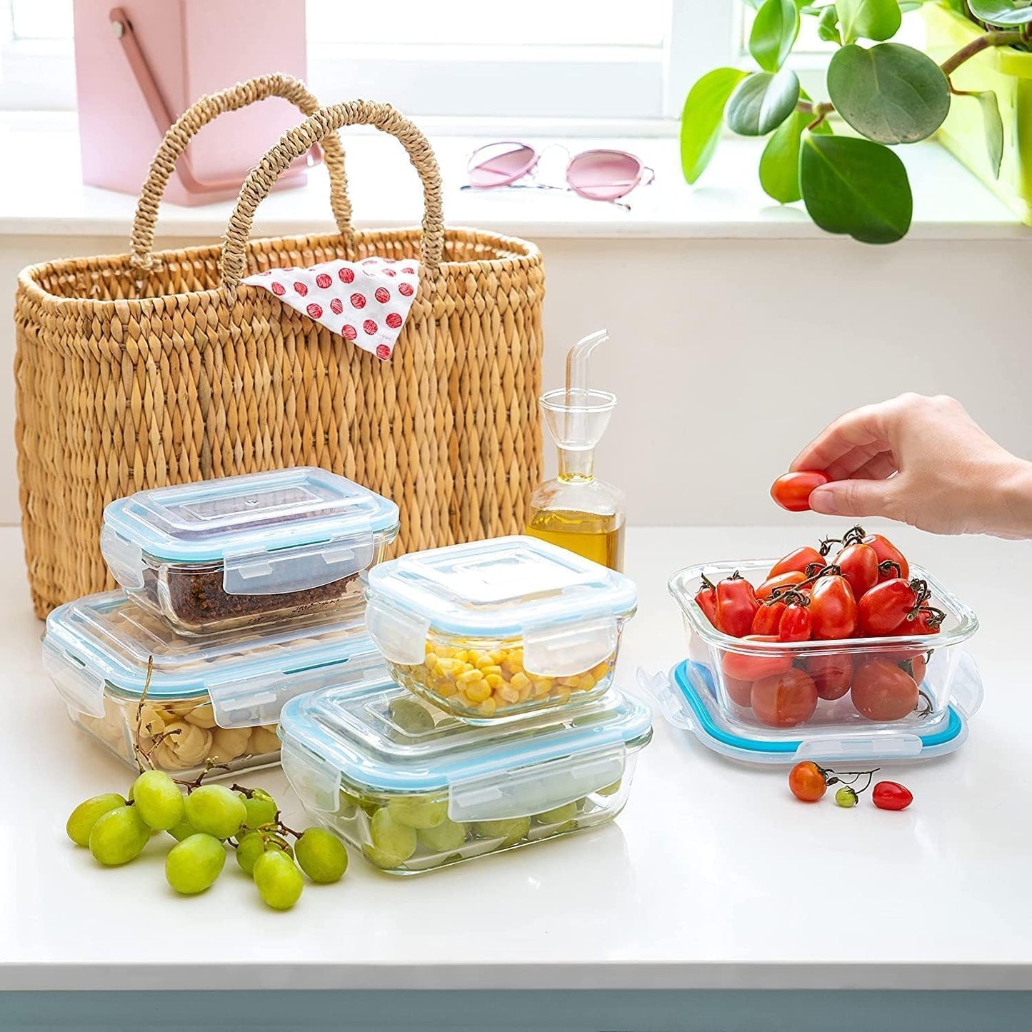 Moss and Stone Rectangular Borosilicate Glass Meal Food Containers - Prep Food Storage Containers Airtight - Snap Locking Lids – Microwave, Oven, Freezer, Dishwasher Safe – with 2 Compartment 2 Pack