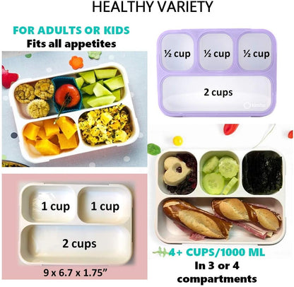Bento Lunch Box for Kids or Adults, Snack Containers for Boys, Girls, School Daycare Work, 3 Divided Compartments Meal Planning Portion Control, BPA-Free Boxes, Utensils | Blue Purple 2 pack