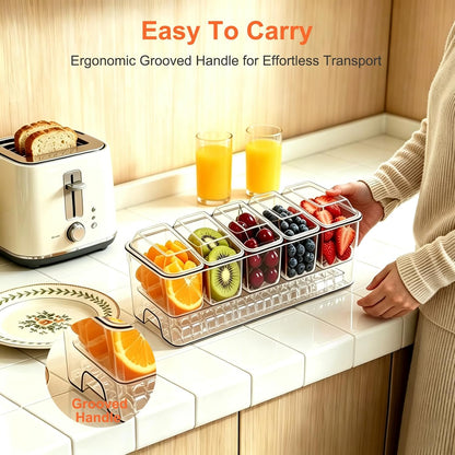 Ice Chilled Condiment Caddy, Clear Condiment Tray with 5 Containers & Lids & Accessories, Ice Garnish Serving Platter for Taco Party & Mimosa Bar, Lemonade Stand, Buffet Hosting (5PC/Set)