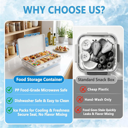 Chilled Snackle Box Divided Serving Tray with Ice Pack Individual Lids Container,Portable Freezer Cooler Picnic Travel Snack Container for Beach Camping Road Trip Essentials Insulated Bag