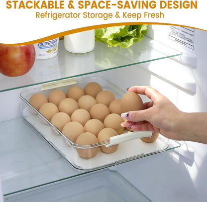 2-Layer Deviled Egg Containers with Lid, Plastic Deviled Egg Platter Tray Carrier with Handle for 40 Eggs, Clear Portable Stackable Egg Holder Storage for Fridge Party Picnic (2 layers)