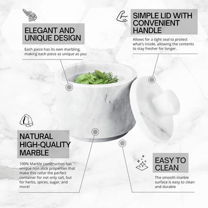Flexzion Marble Salt Cellar with Lid, Salt Holder for Counter, White