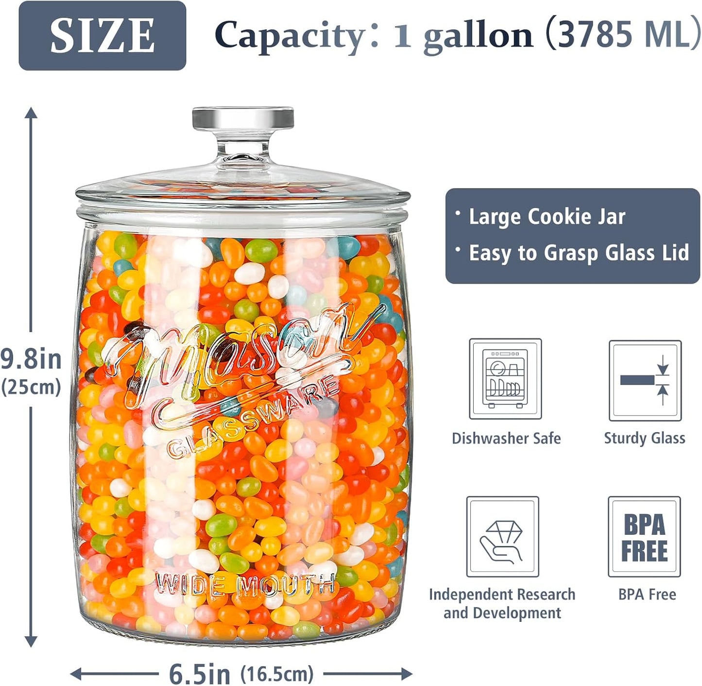 Folinstall 2 Pack 1 Gallon Glass Cookie Jar, Large Glass Jar with Airtight lid, Glass Food Storage Container for Cookies, Candy, Flour, Dog Treats, Coffee, Apothecary Jars